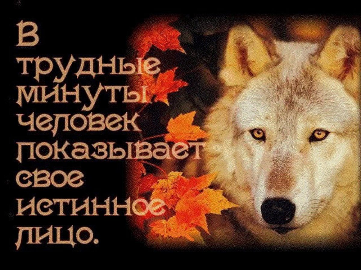 Стихи о помощи людям в трудную минуту