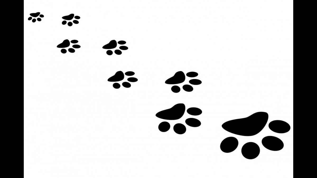 Значок животные сторис