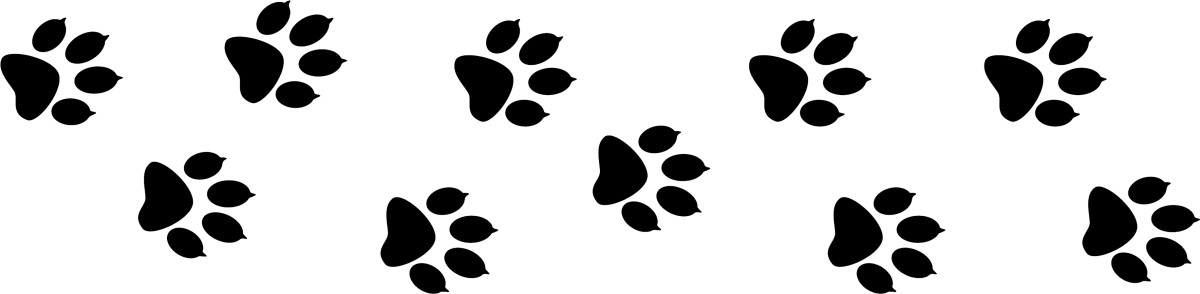 Эскиз лапки