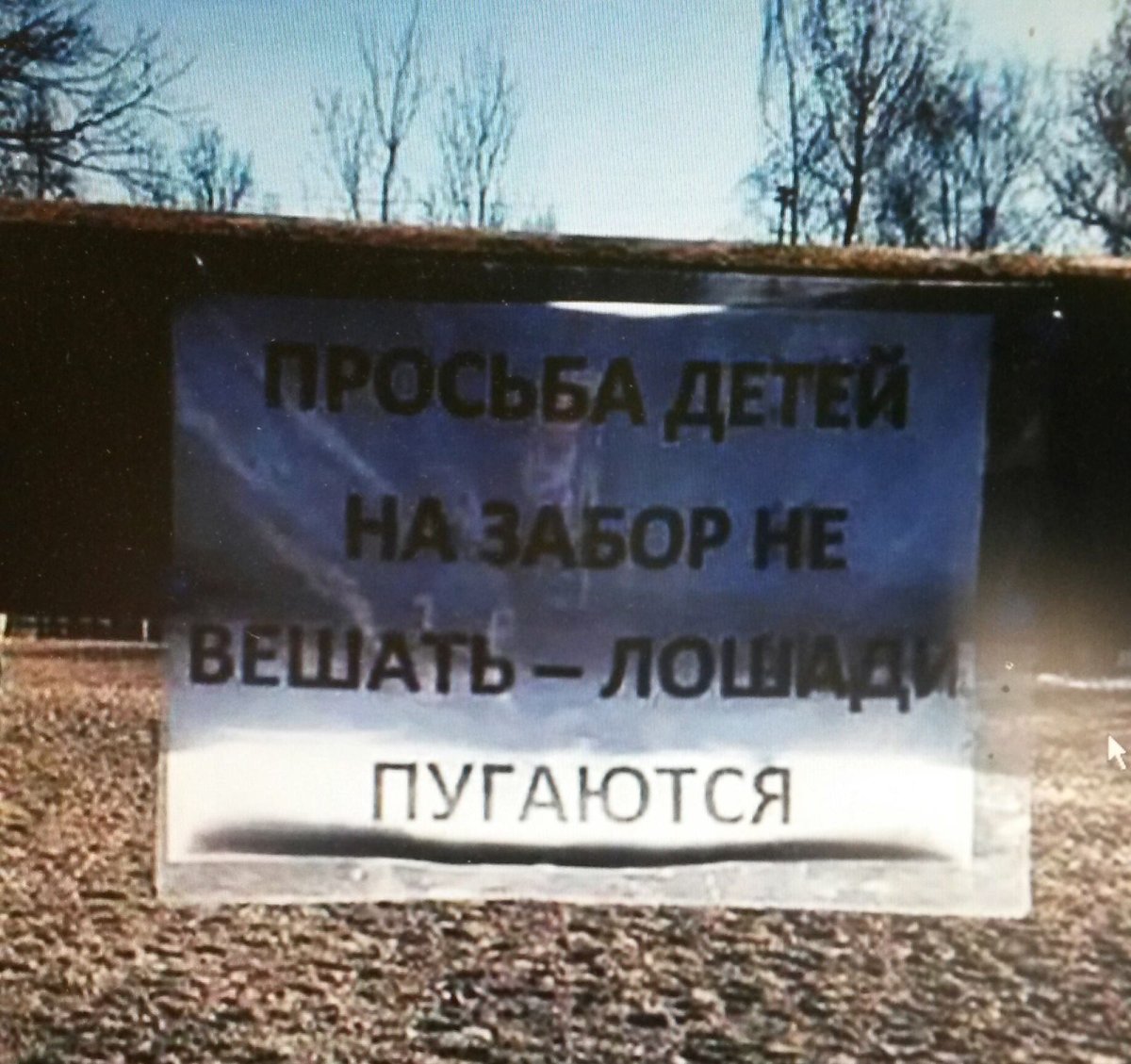 Смешные картинки с надписями