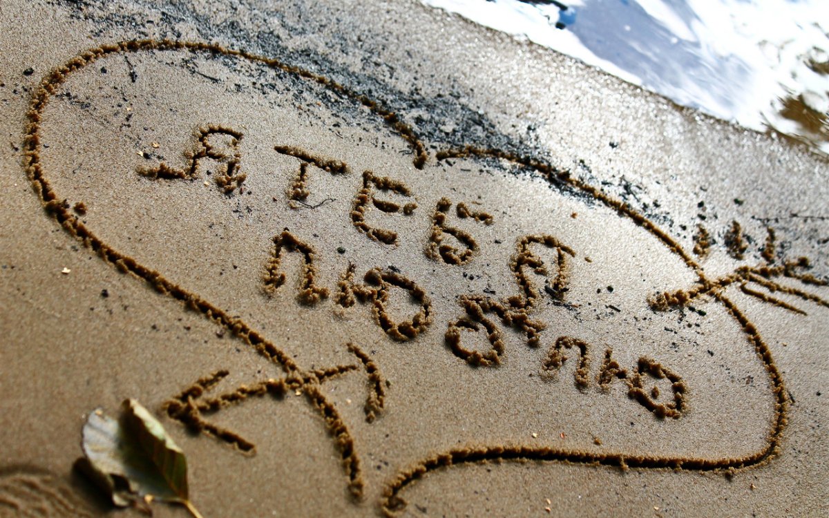 Юмор про котов