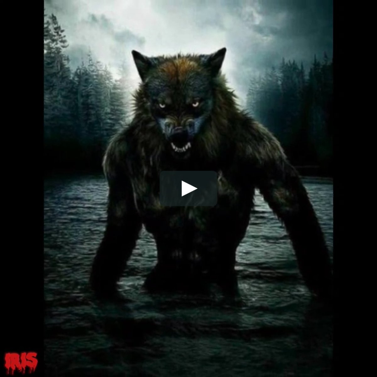 Лева Волков