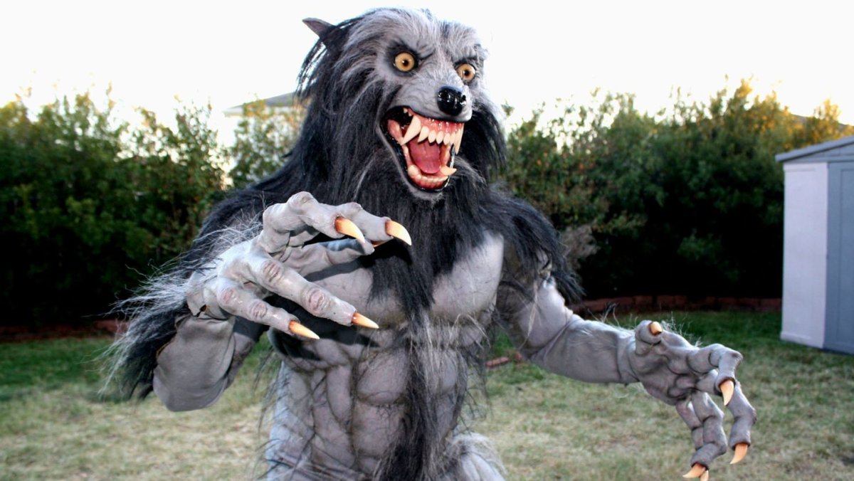 Девушка с волком