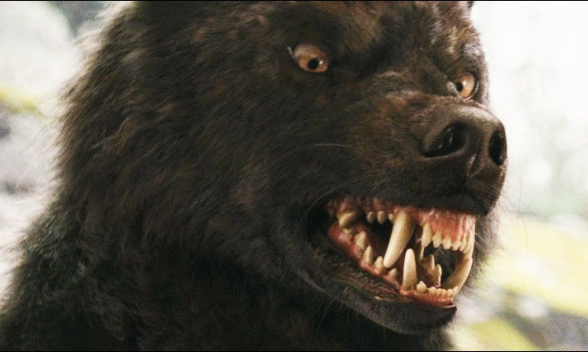 Скотт Маккол Альфа волк