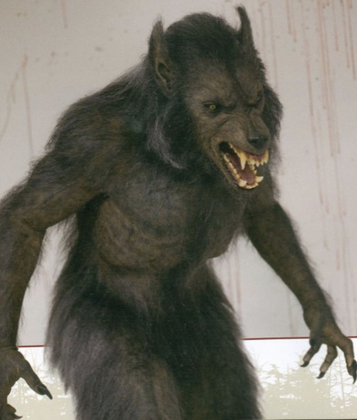 Продолжительность жизни оборотня