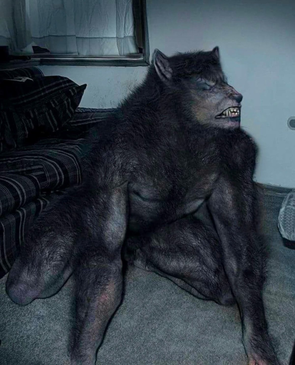 Ван Хельсинг 2004 оборотень