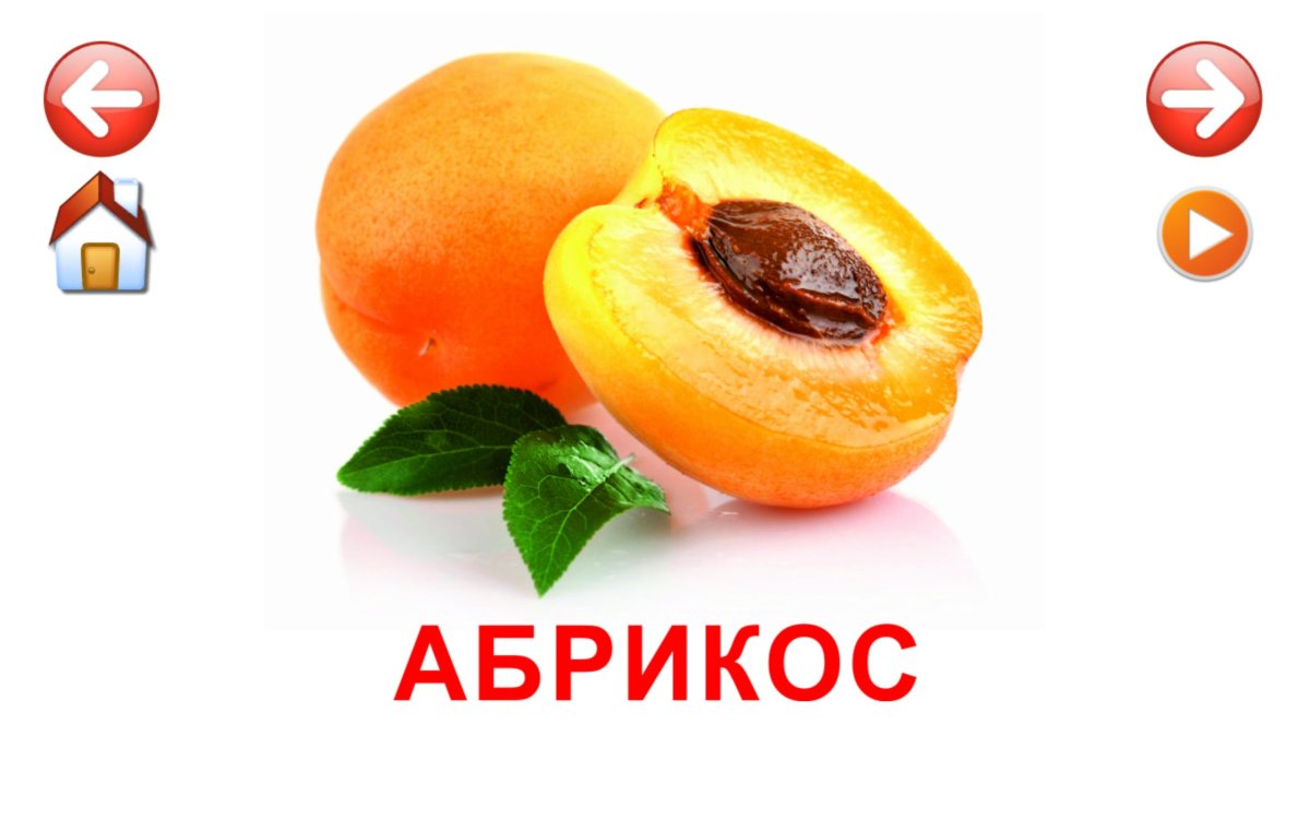 Абрикос карточка для детей