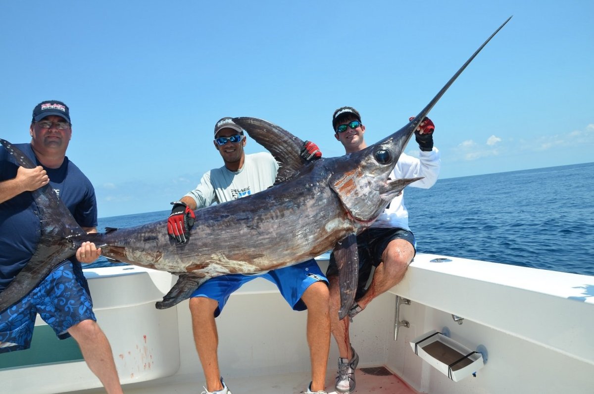 Марлин рыба