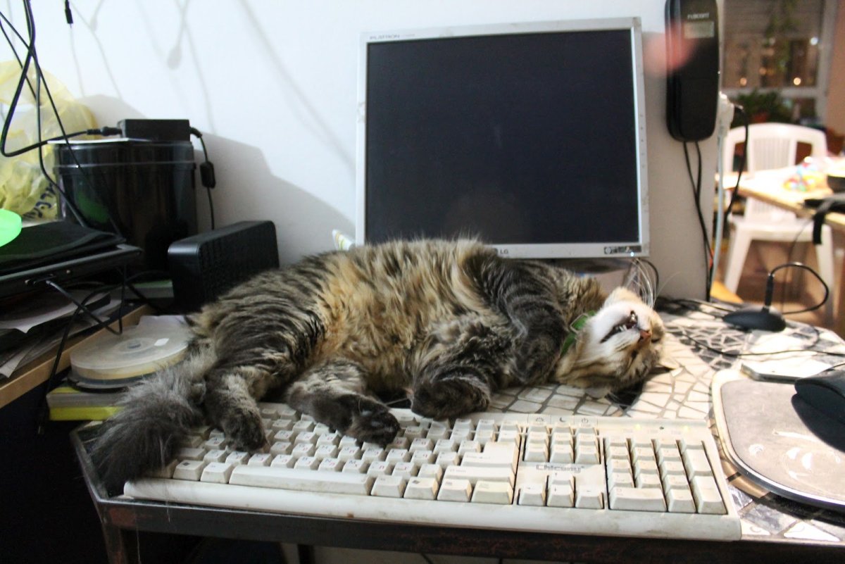 Рабочая суббота