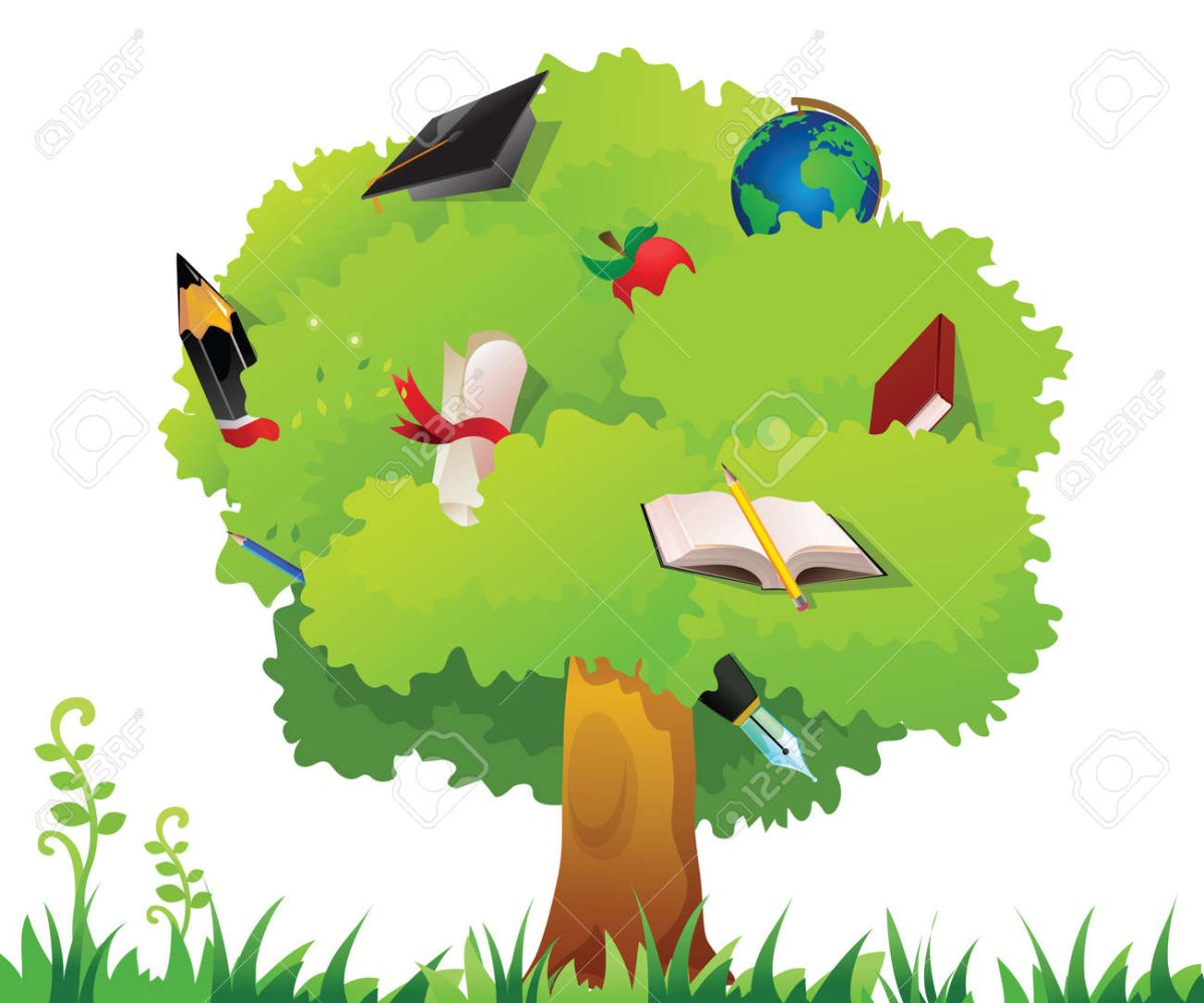 Книжный стеллаж дерево знаний