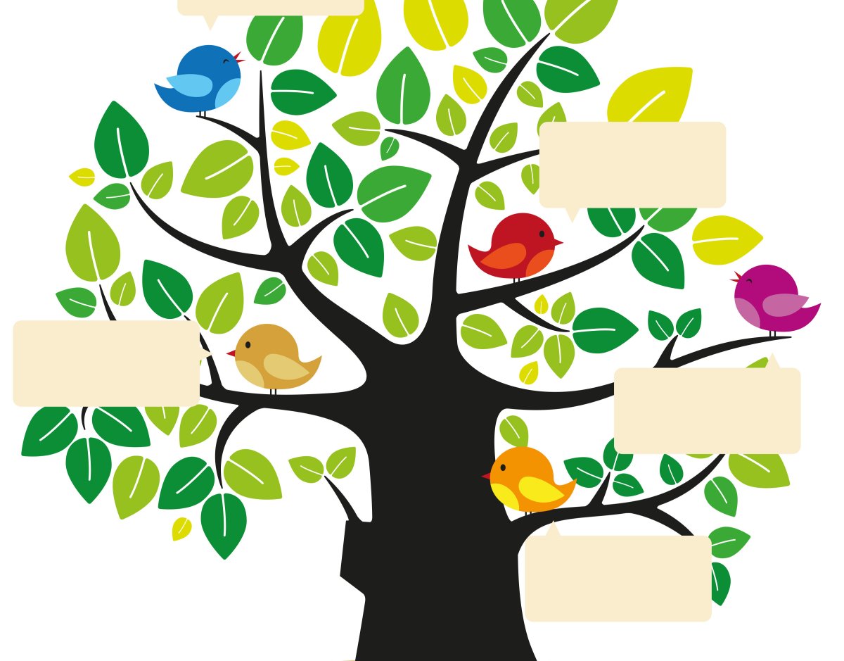 Дерево знаний на прозрачном фоне