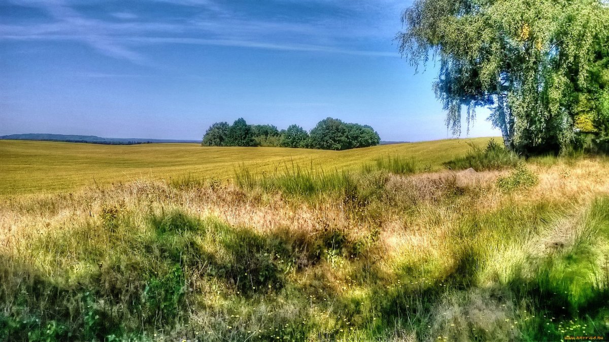 Ландшафт Восточно европейской равнины