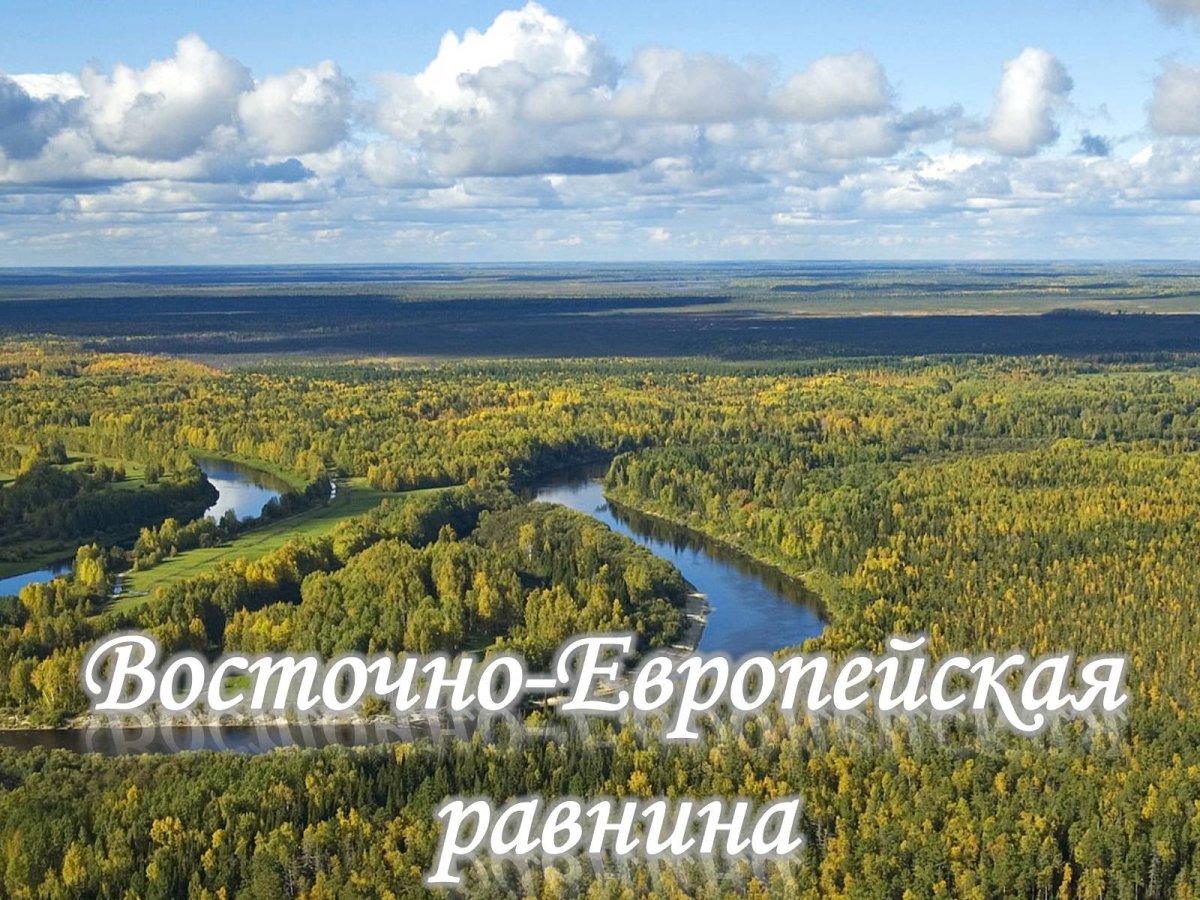 Восточно европейская русская равнина картинки