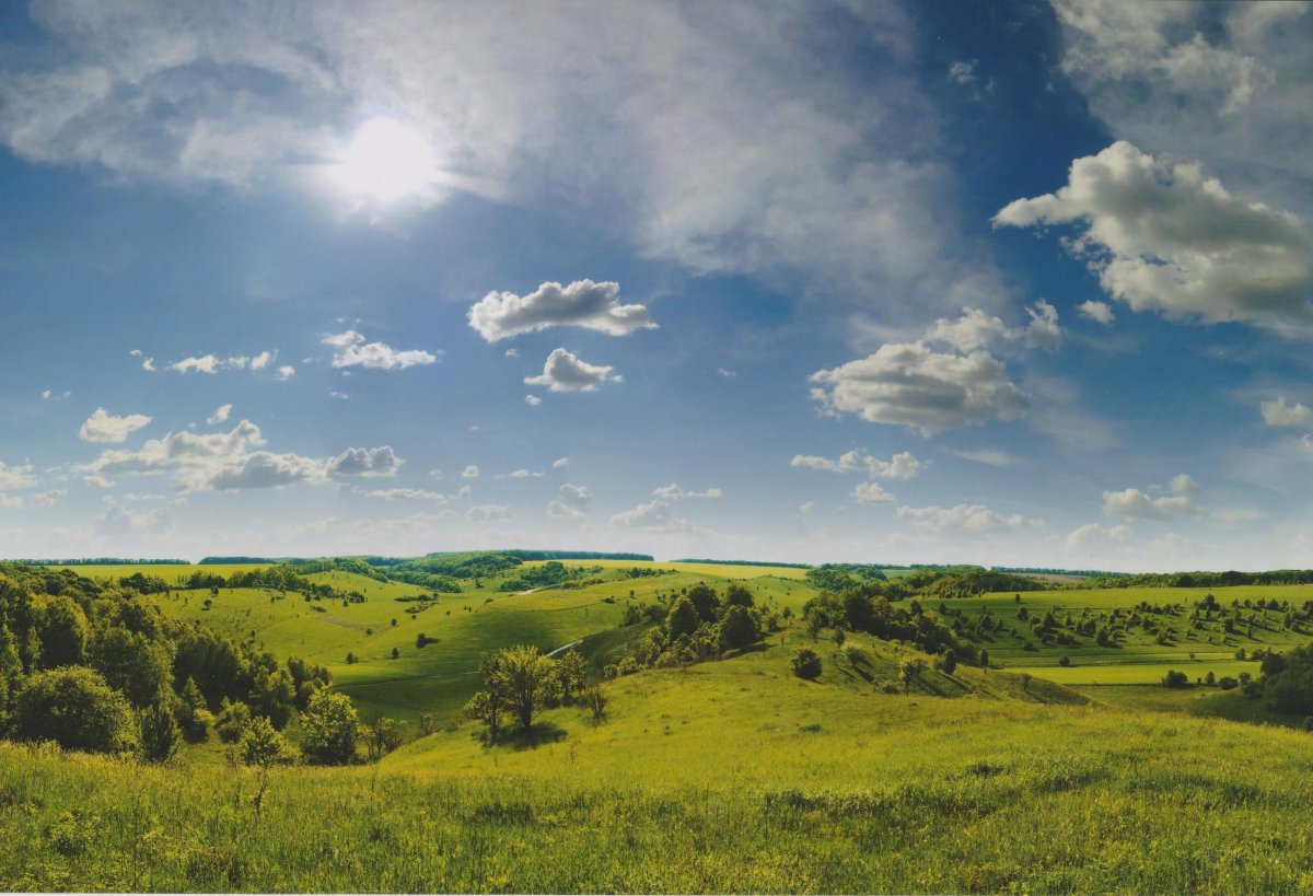 Балка каменный Лог