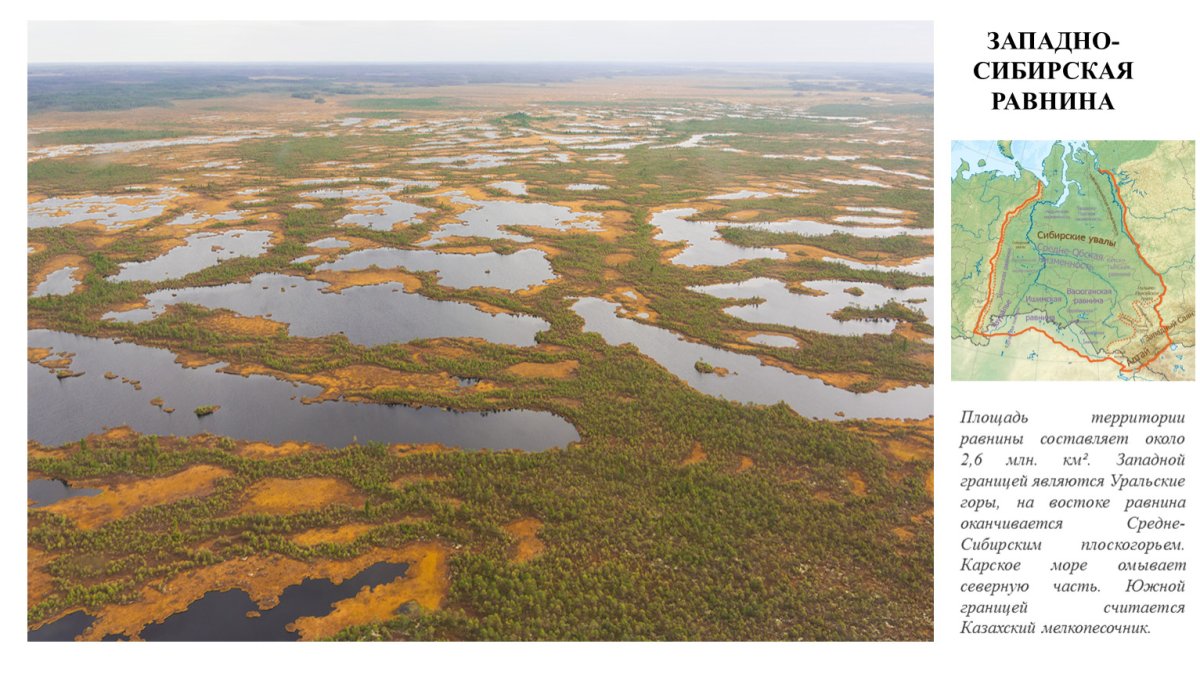 Западно-Сибирская, Восточно-европейская равнина, Северо-Сибирская
