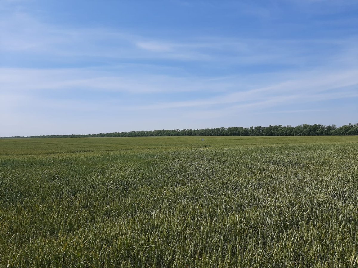 Деревня Измоденова