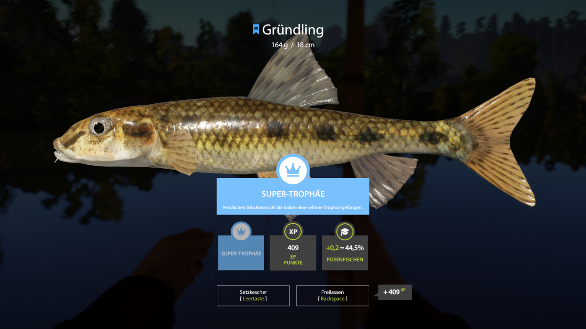 Пескарь на белом фоне