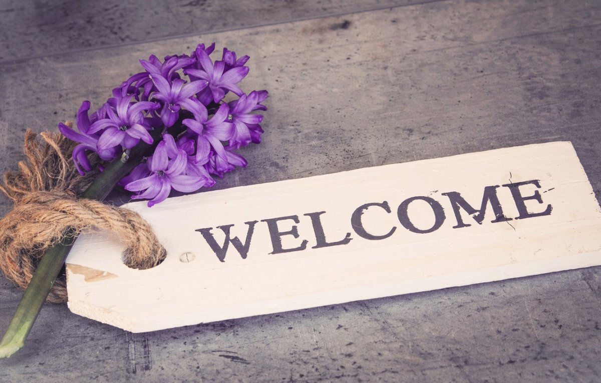 Добро пожаловать!