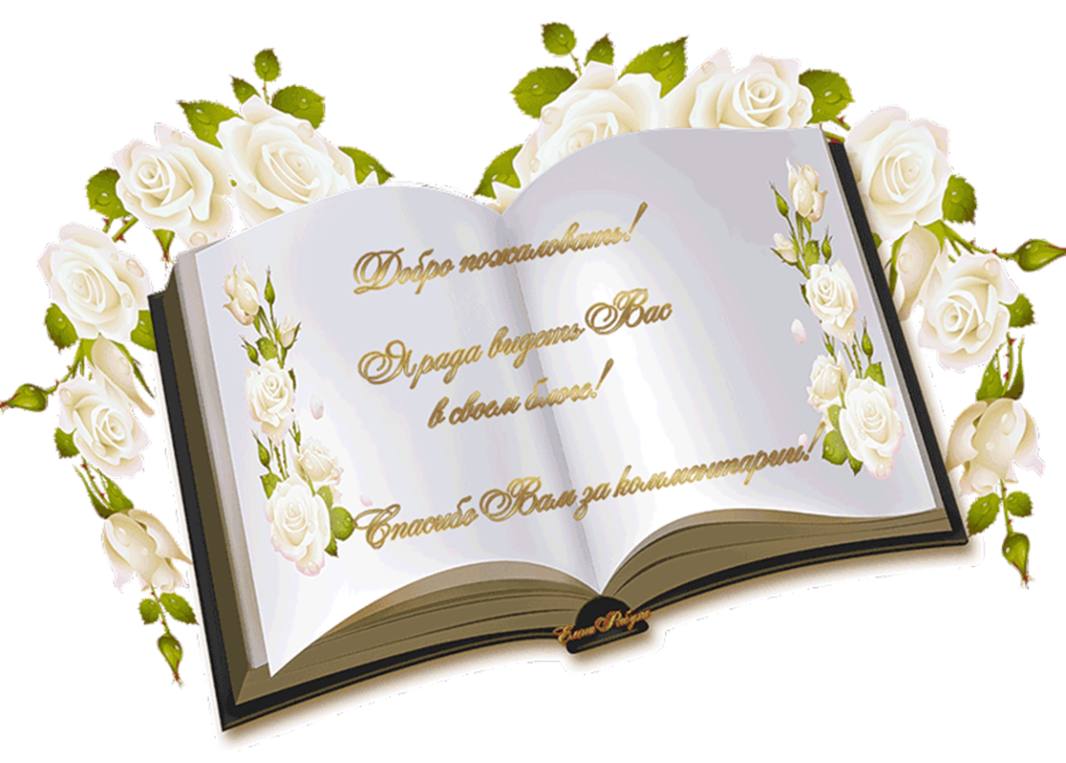 Добро пожаловать в наш магазин