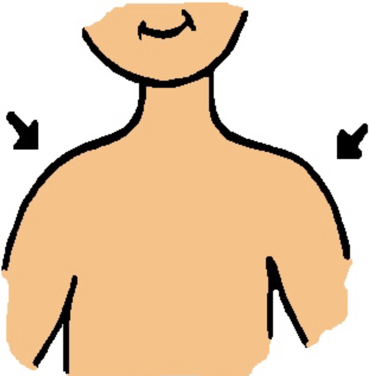 Части тела плечо детям