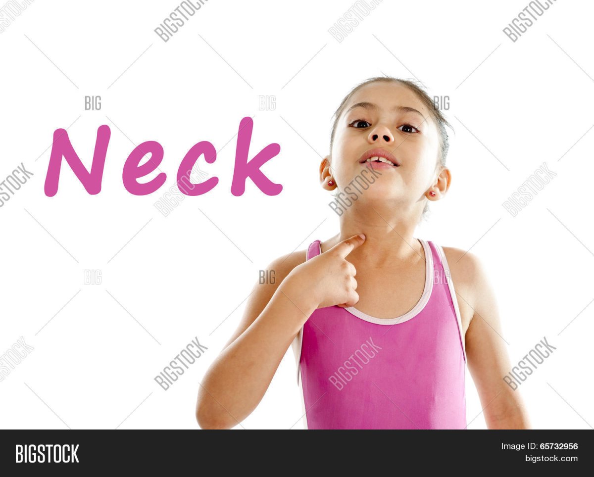 Изображение шеи для детей