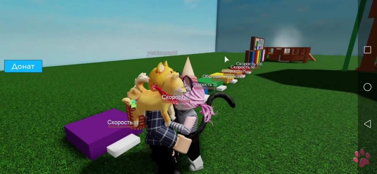 Йоши 2022 роблакс