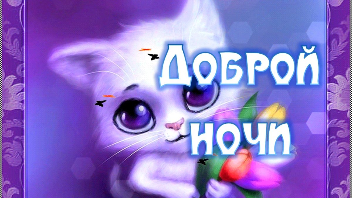 Спокойной ночи