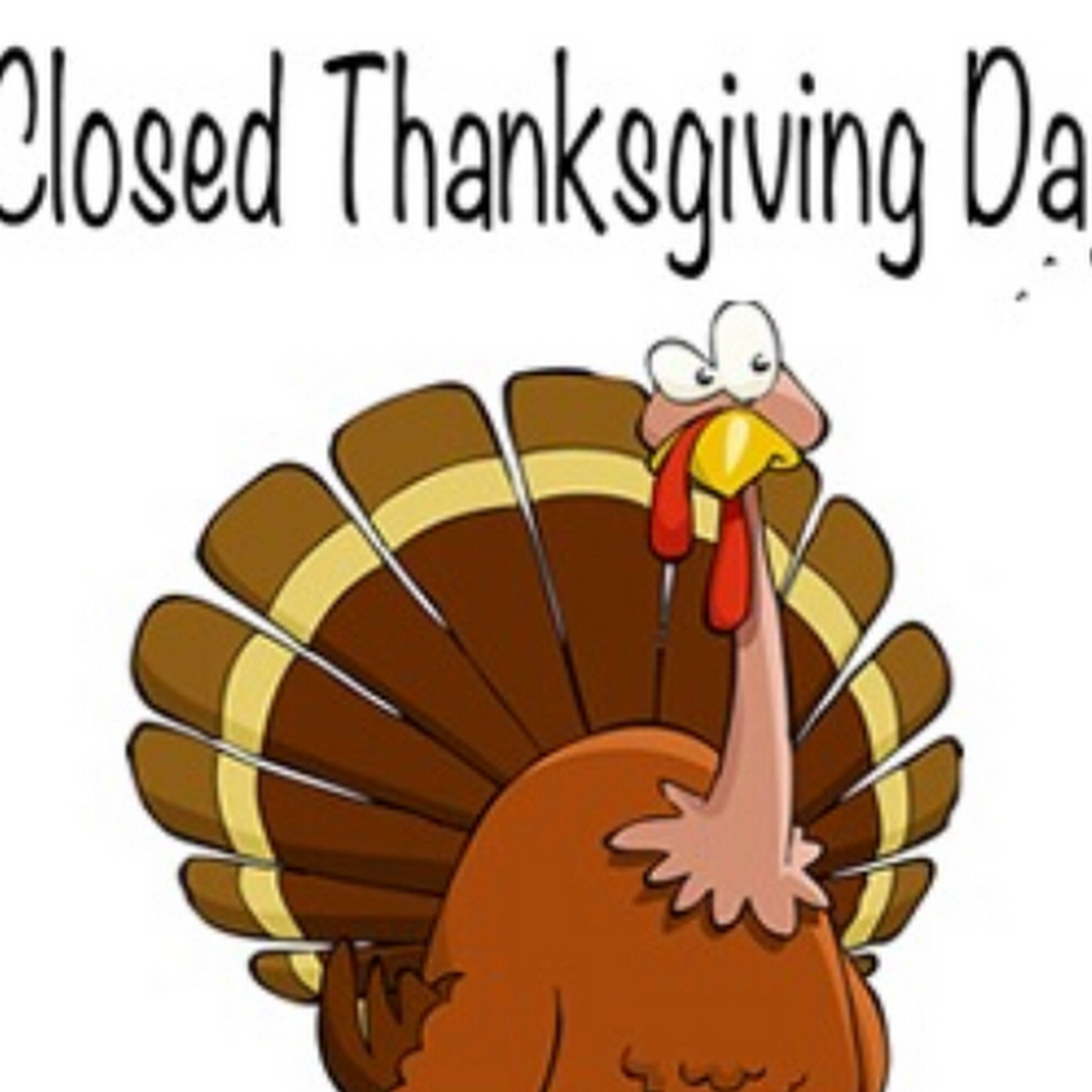 Индюшка Мульти