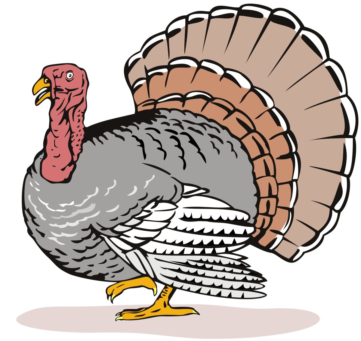 Turkey cartoon индейка