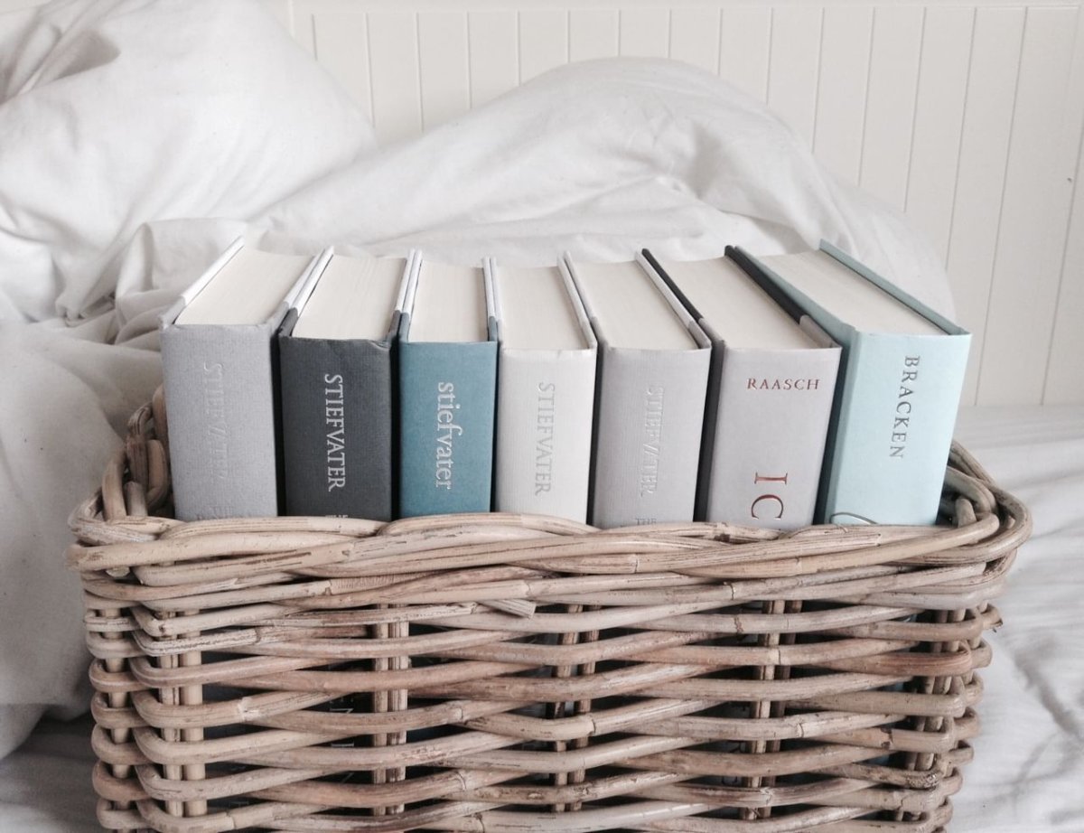 Книжная Эстетика