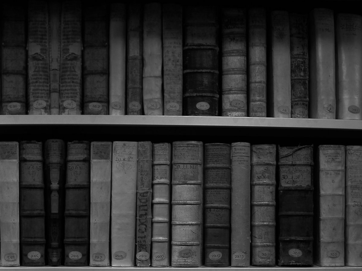 Серая книга