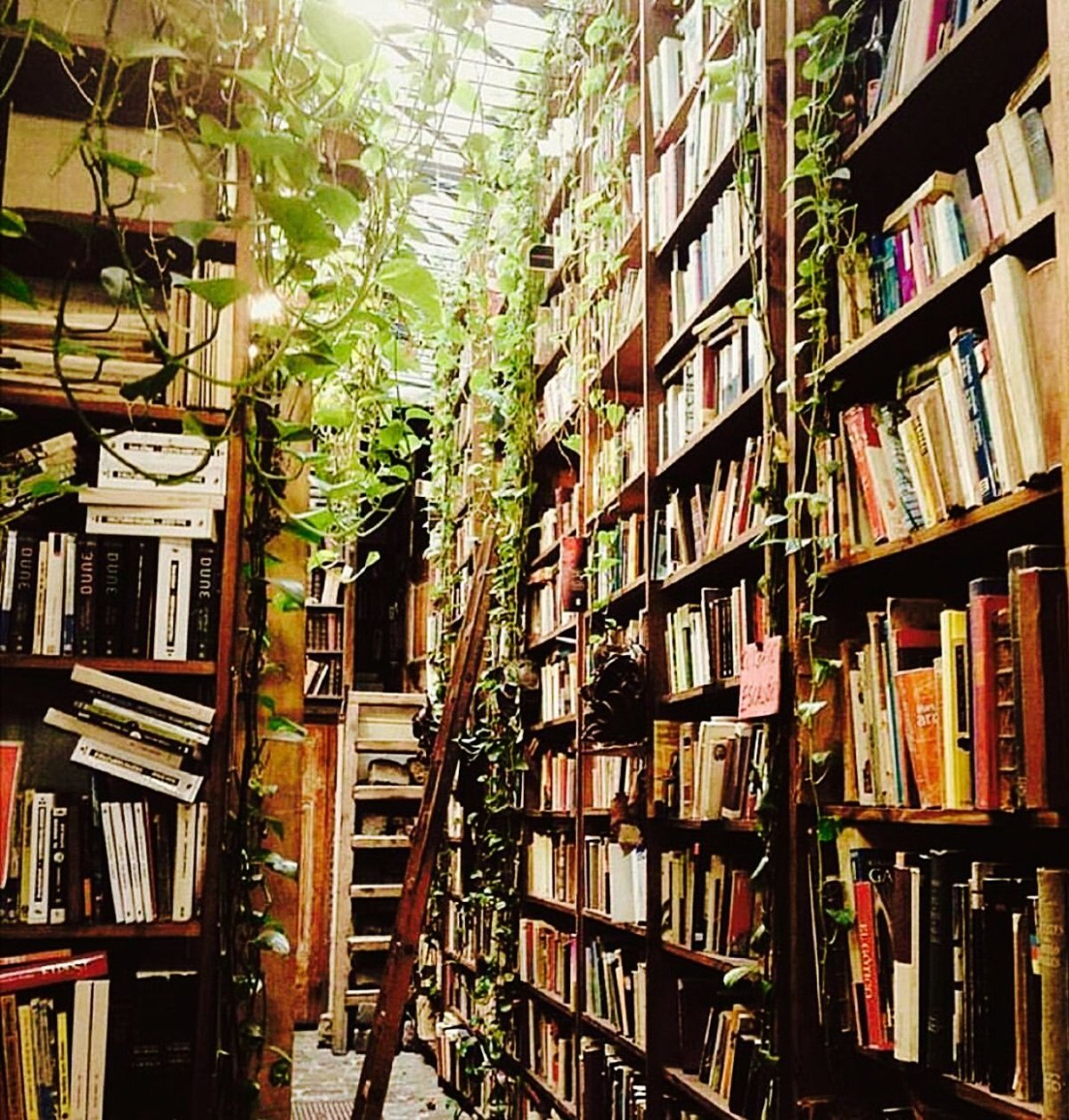 Библиотека Эстетика