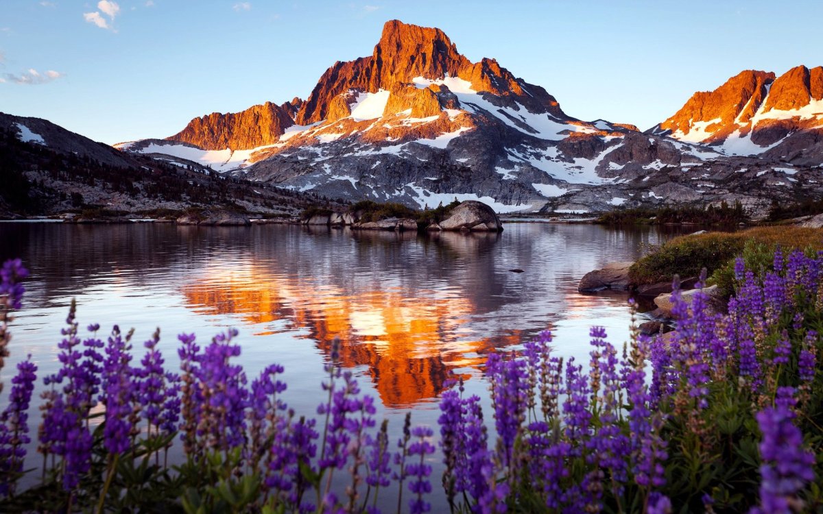 Яркая природа