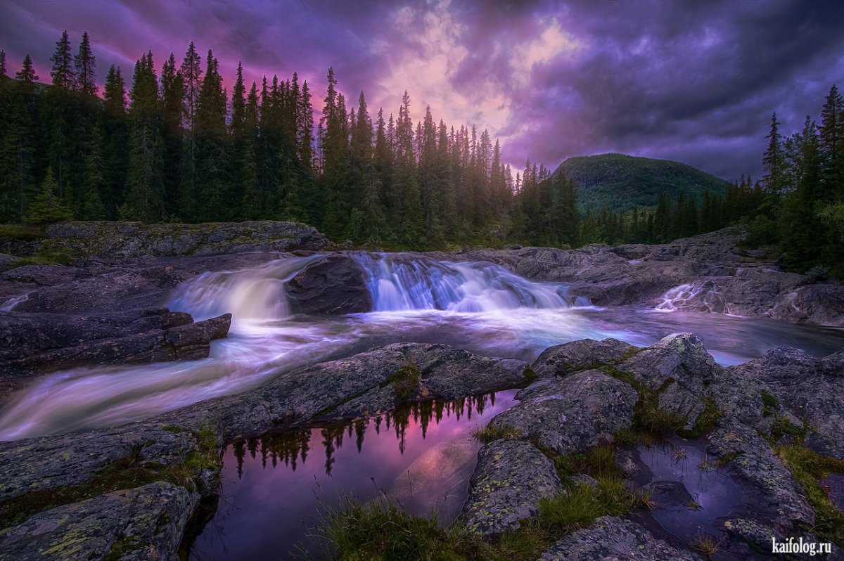 Красивая природа