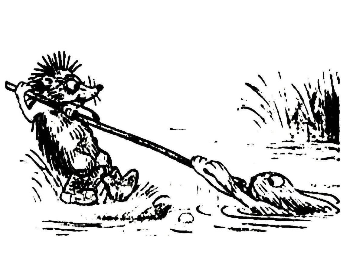 Сутеев в. "сказки в картинках"