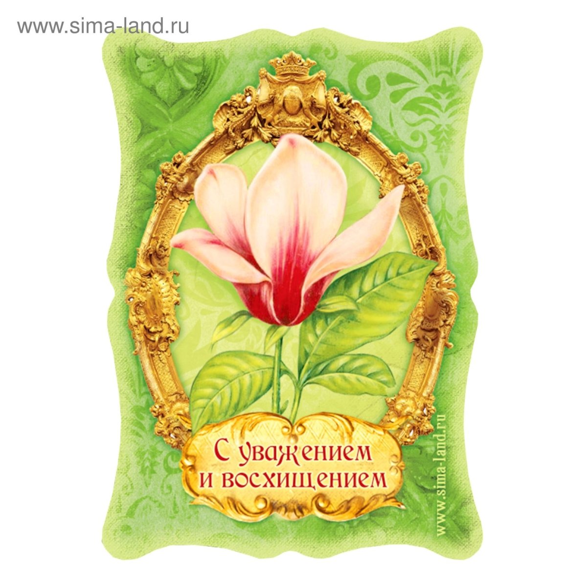 Восторг на лице