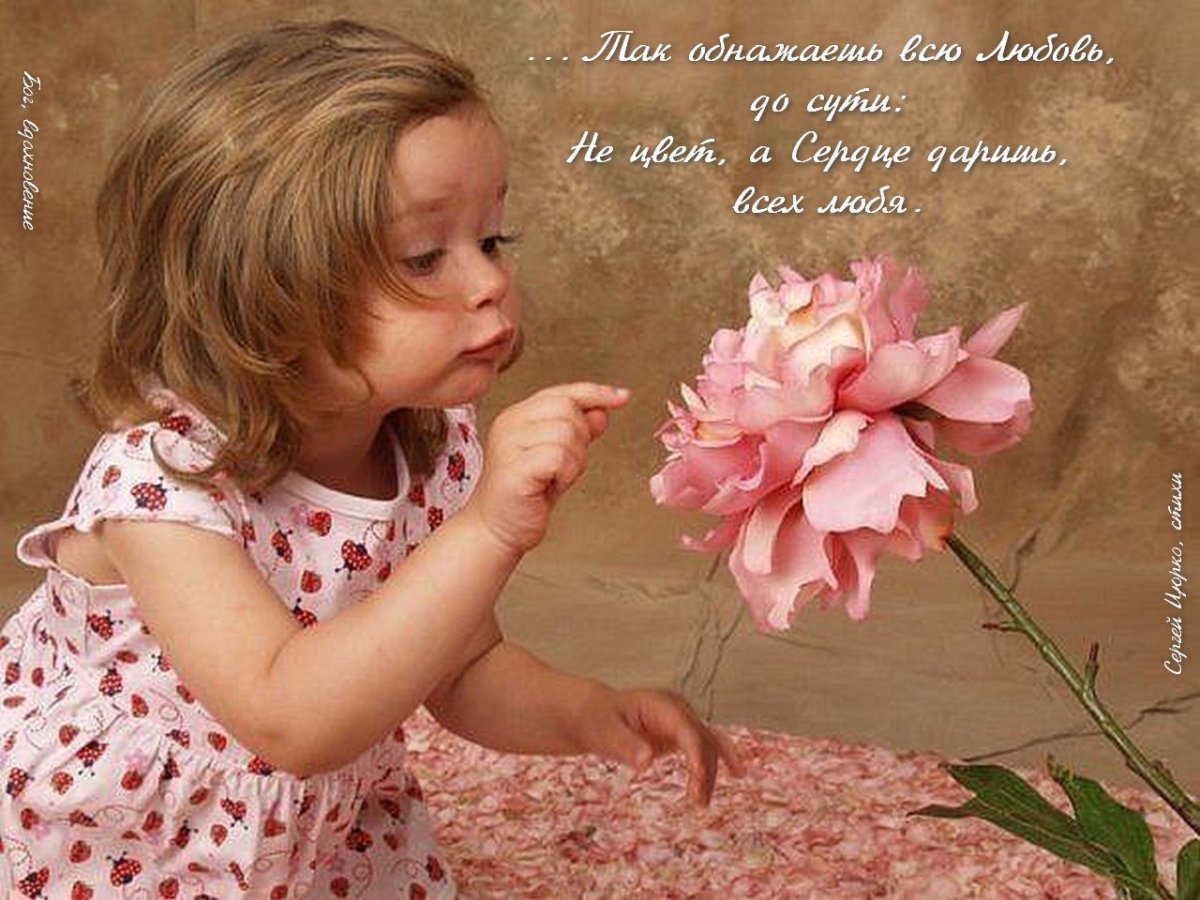 Умиление картинки прикольные