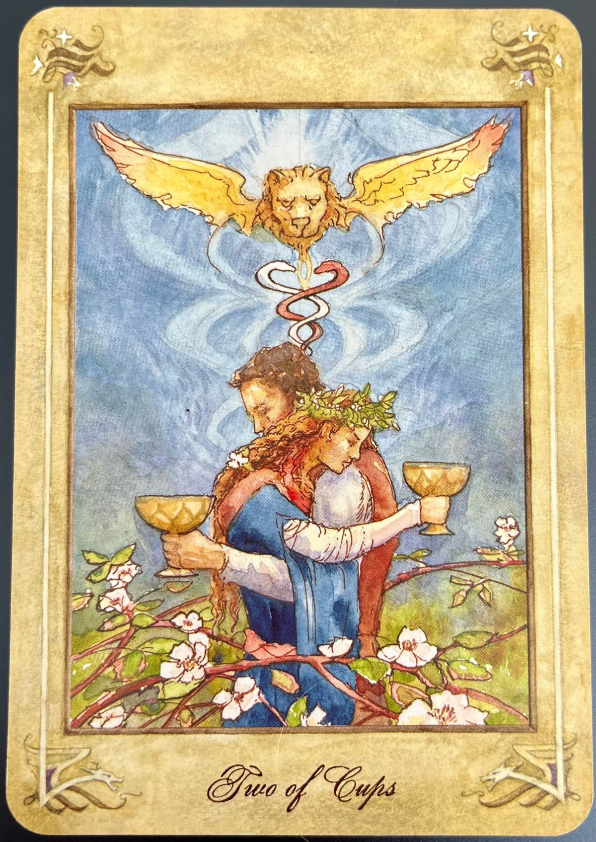 Таро Долины миражей умеренность