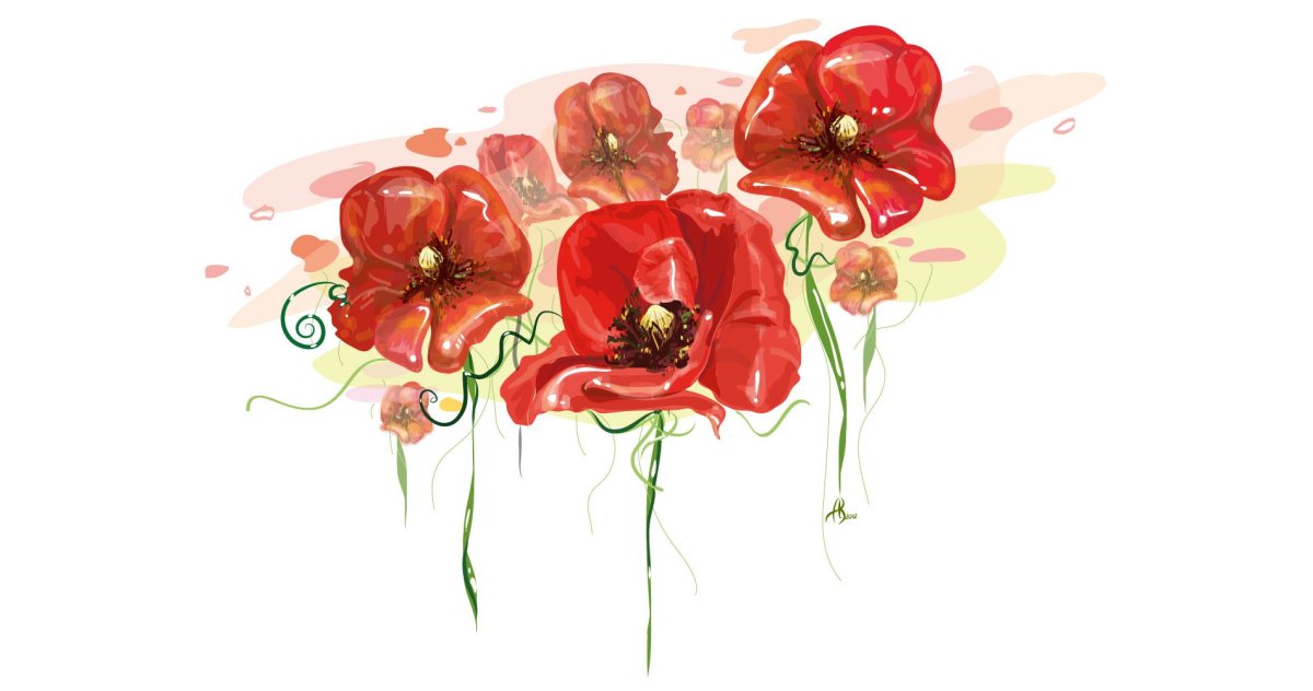 Клипарт маки на прозрачном фоне