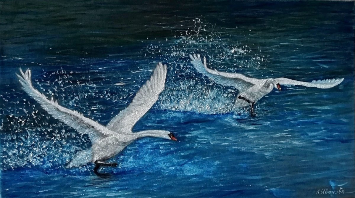 Две птицы в небе