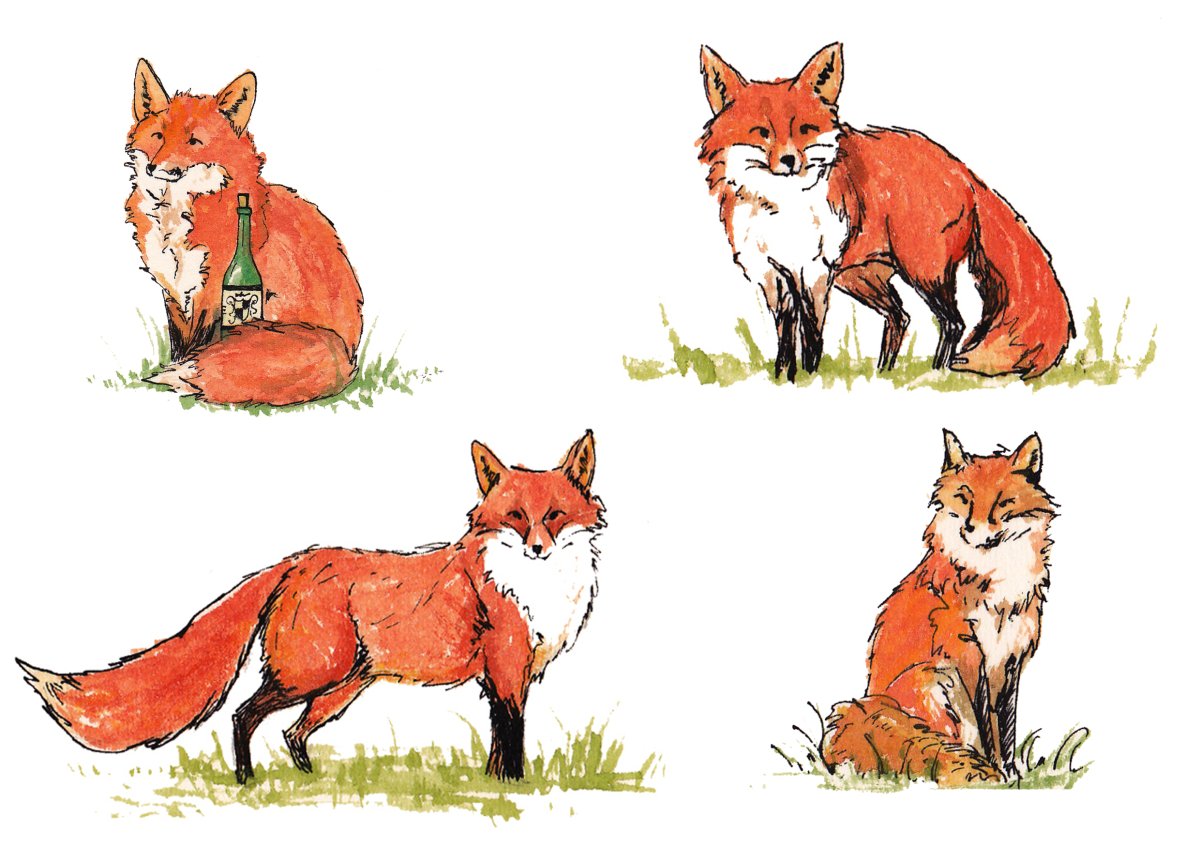 Тематический комплект лиса