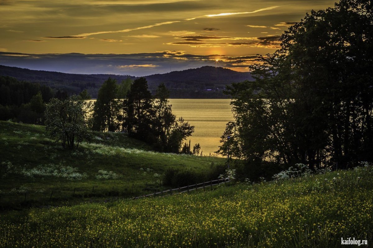 Пейзажи природы