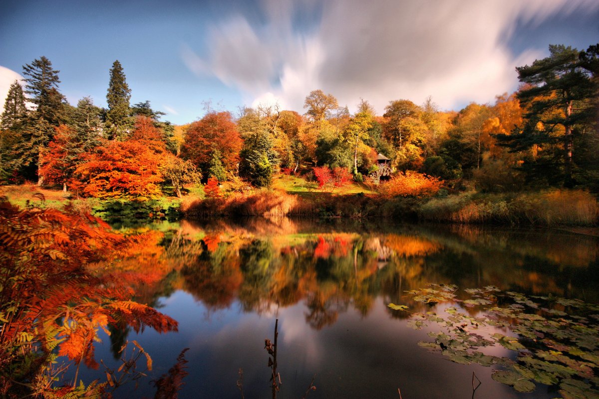 Осенняя природа