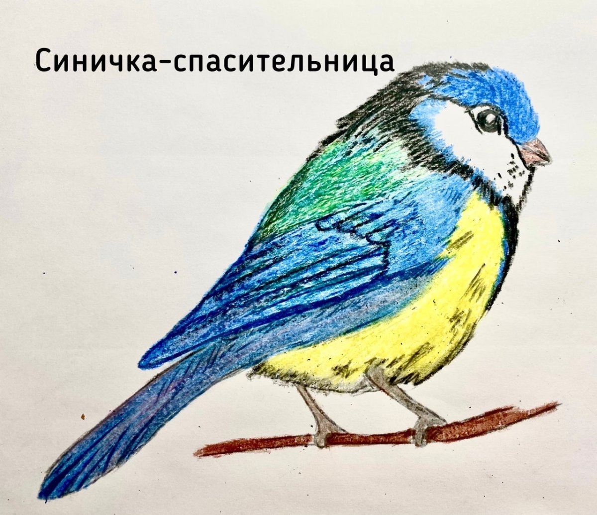 Роберт Бейтман синицы картины