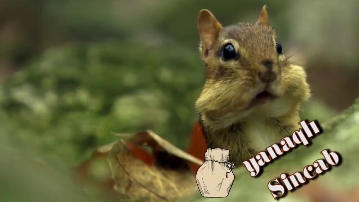 Открытки и снова Здравствуйте