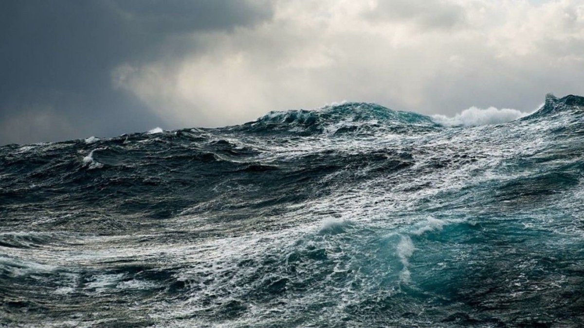 Рэйчел Талибарт