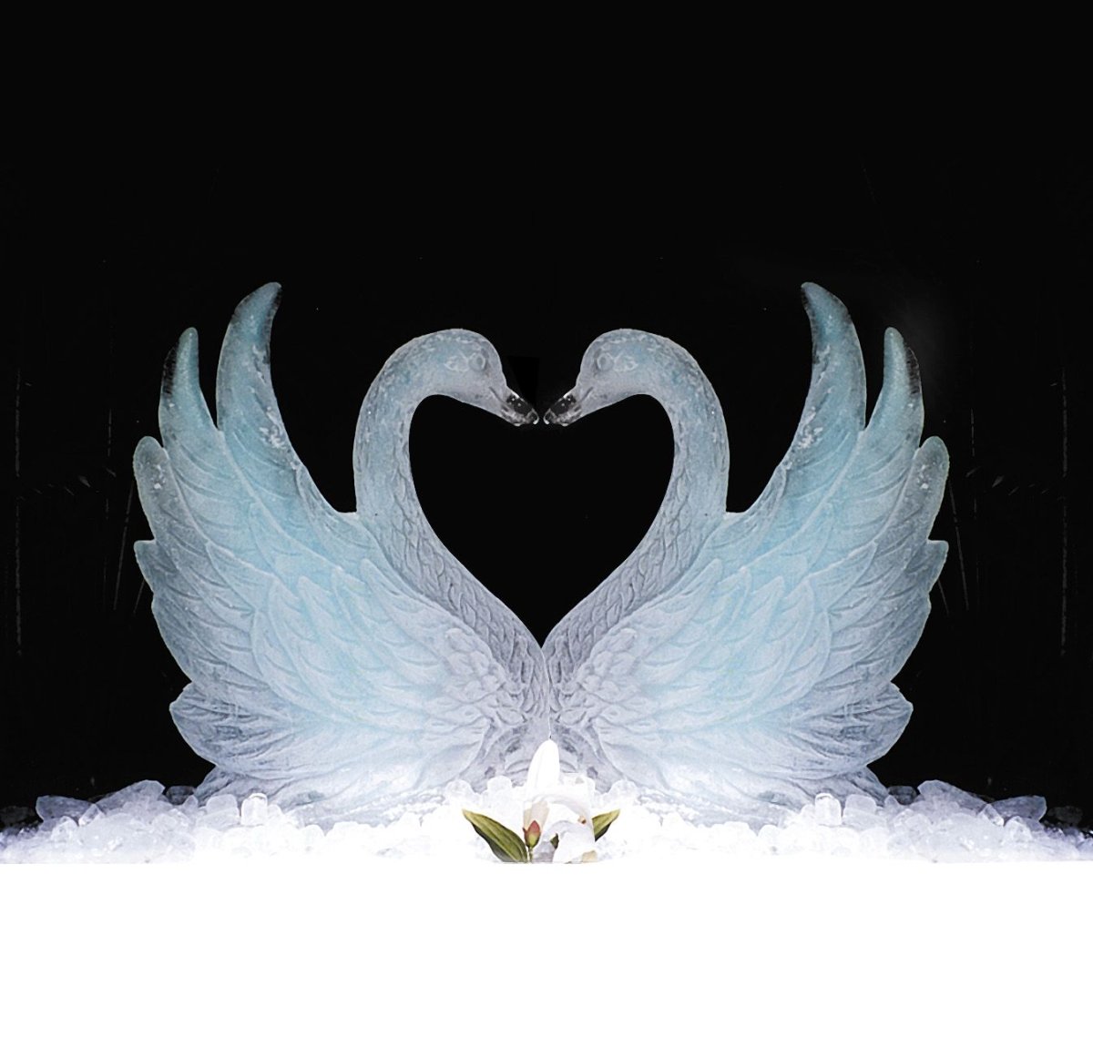 Сердце из лебедей