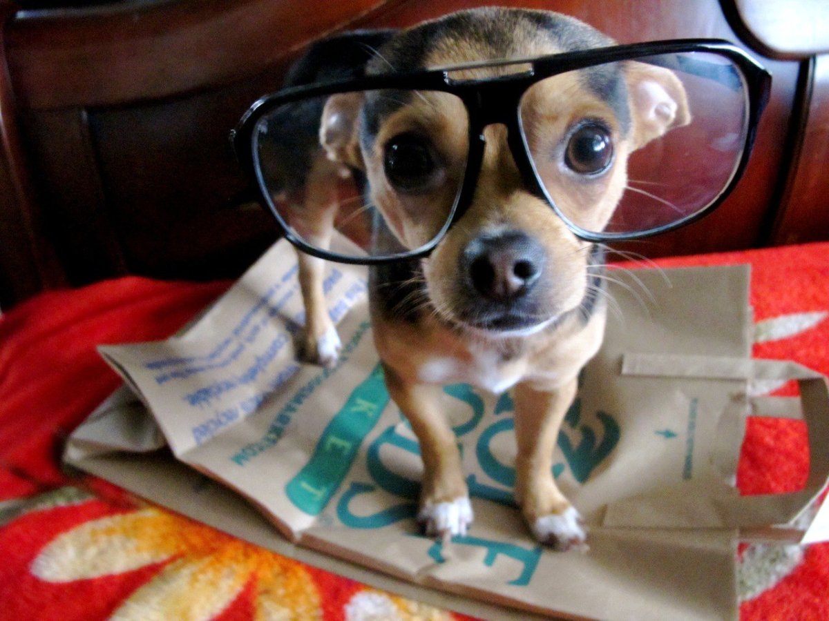 Мультяшный человек в очках