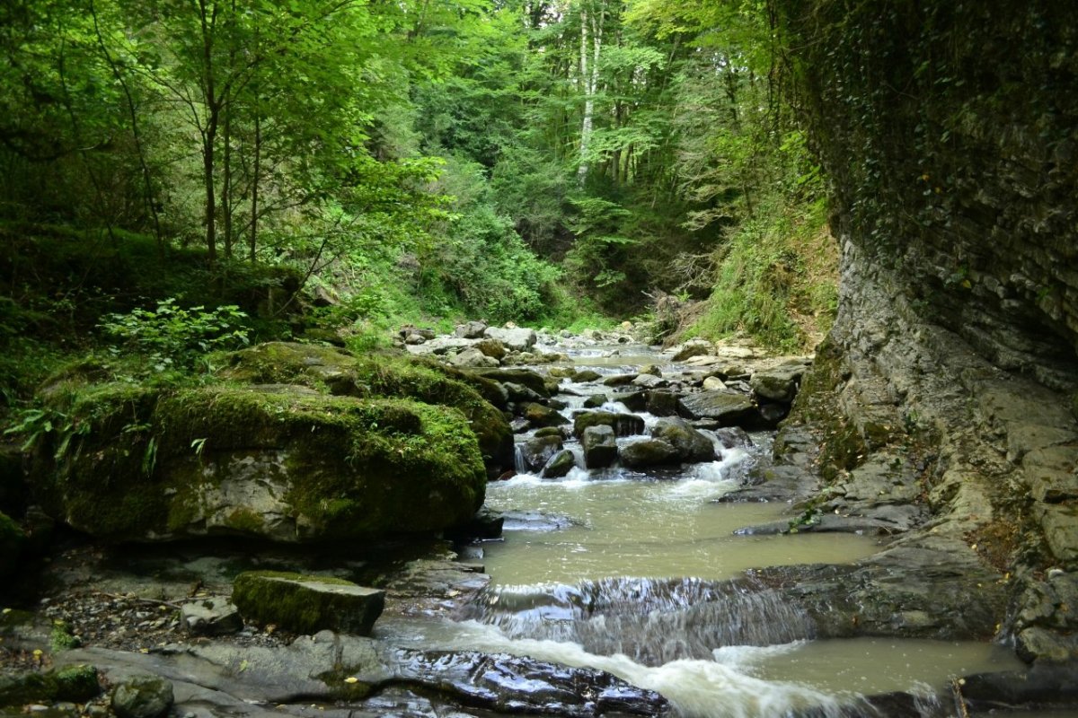 Посёлок Вардане Краснодарский край