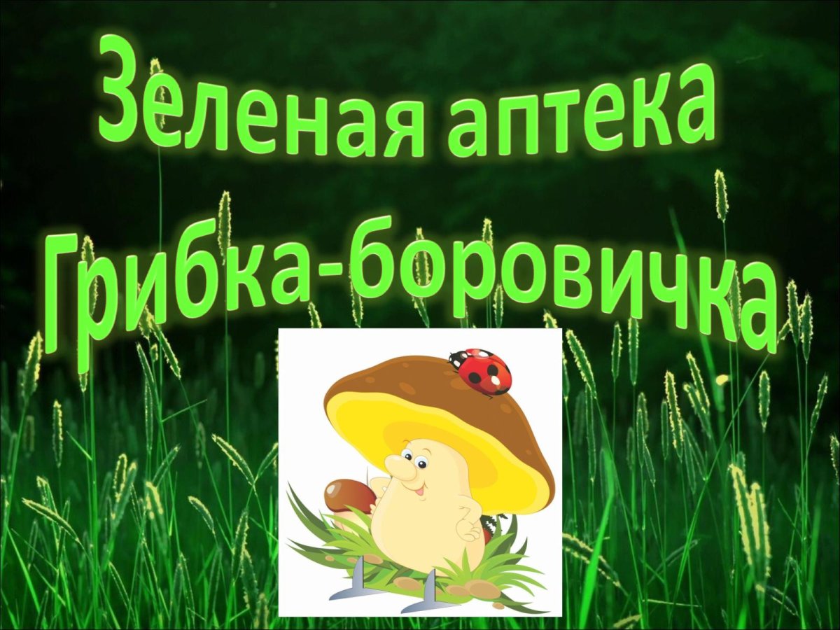 Презентация Лесная аптека